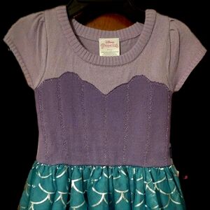 Disney princess dress / costume / dressup